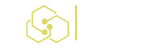 SNB Tech Solutions Logo